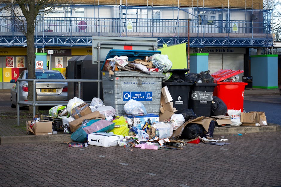 Real cost comparison rubbish removal versus skip hire Ealing